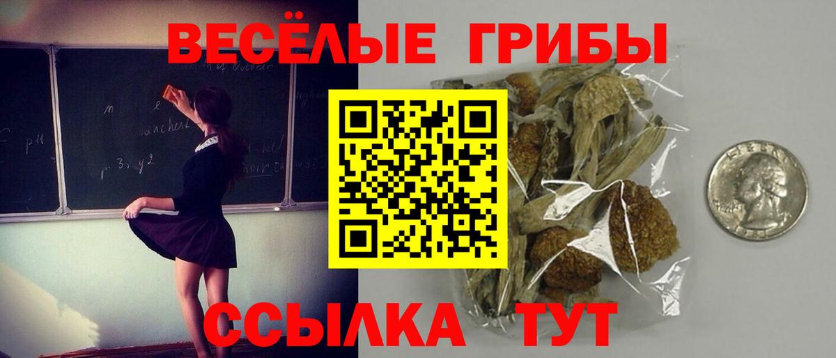 Галлюциногенные грибы MAGIC MUSHROOMS Шарыпово